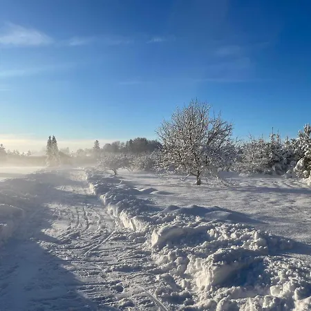 Marguse Metsamajad * Pärnu
