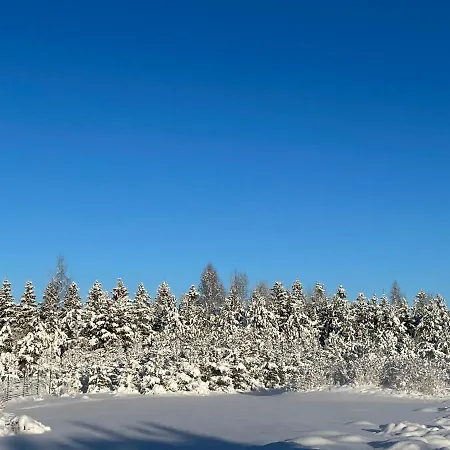 Marguse Metsamajad Nyaraló *