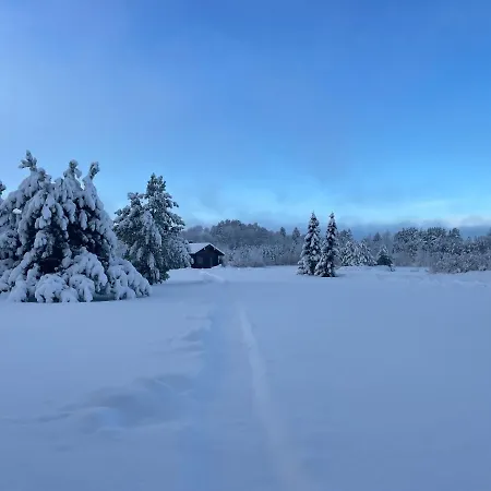 Marguse Metsamajad *