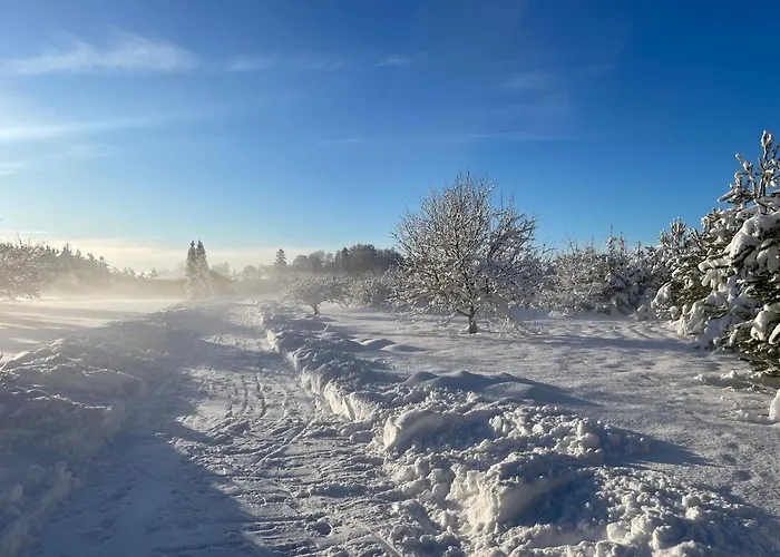 Marguse Metsamajad * Pärnu