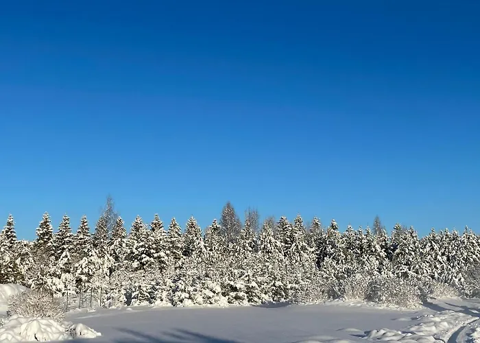 Marguse Metsamajad 度假居 *