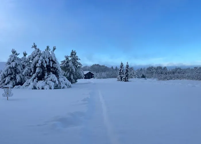 Marguse Metsamajad *