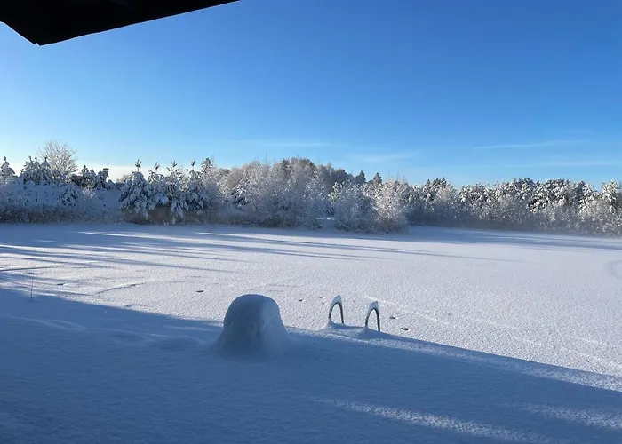 Marguse Metsamajad *